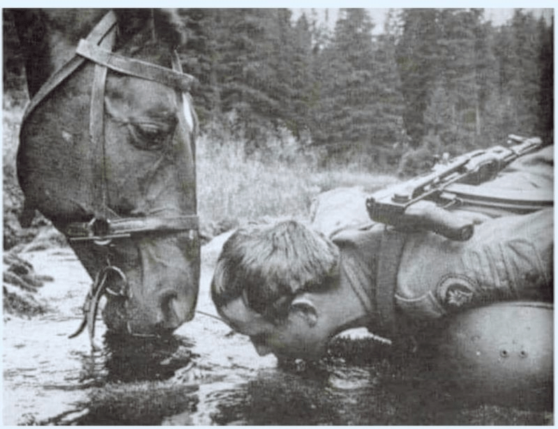 Like the nature, so I&nbsp;am….